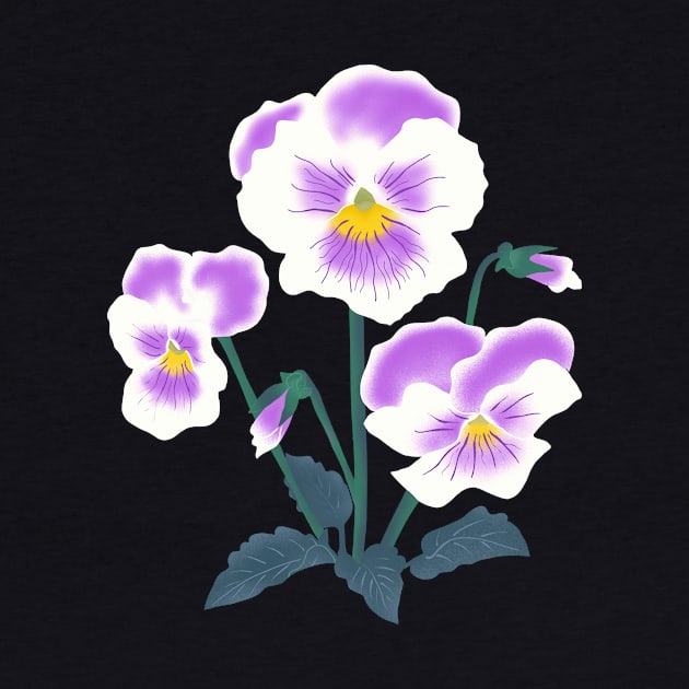 Purple pansy flowers by Tiomio